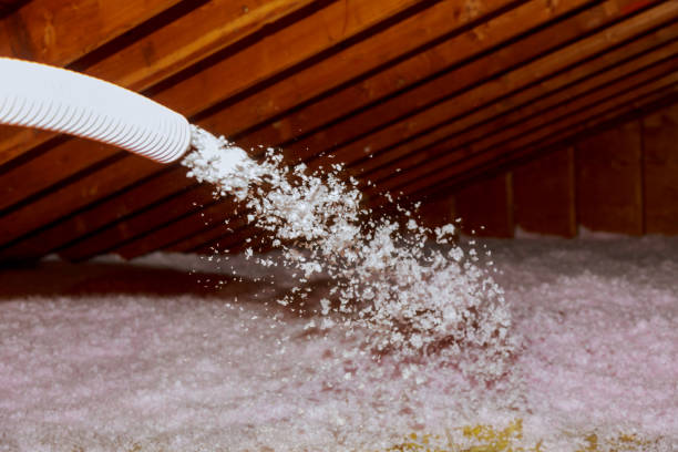 Best Cellulose Insulation in Oracle, AZ