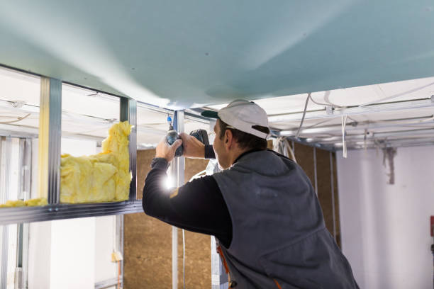 Best Insulation Maintenance and Repair in Oracle, AZ