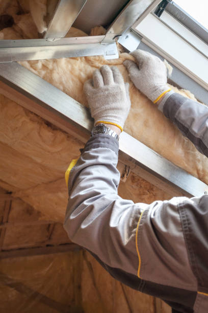 Professional Insulation Contractor in Oracle, AZ