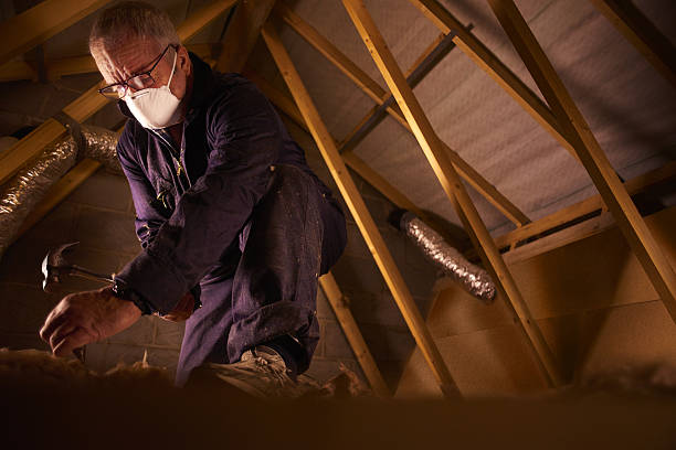 Best Commercial Insulation in Oracle, AZ